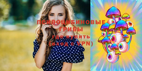 эйфоретик Алексеевка