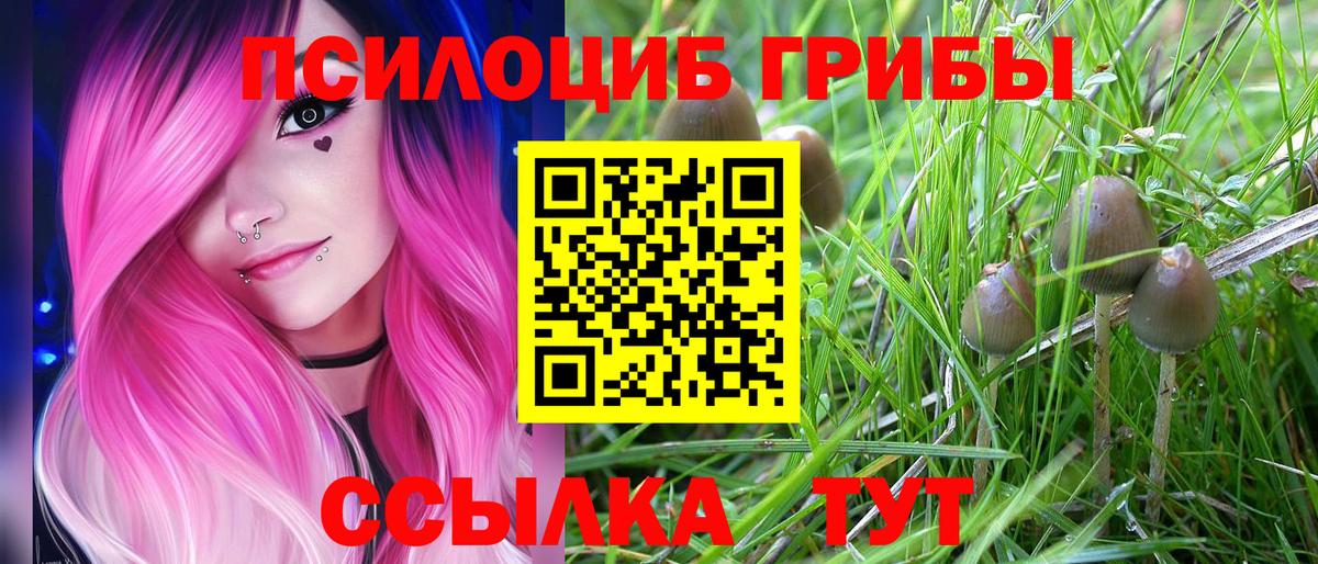 Галлюциногенные грибы Magic Shrooms Мыски
