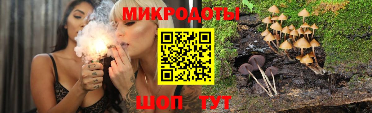 Мыски  Псилоцибиновые грибы мухоморы  Вход с VPN 